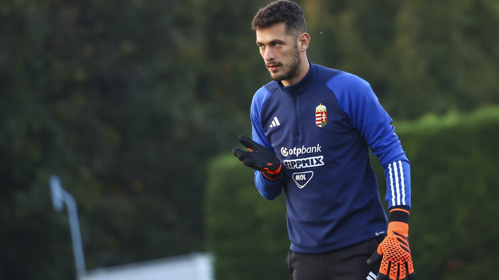 A Honvéd magyar válogatott kerettag kapussal erősíthet