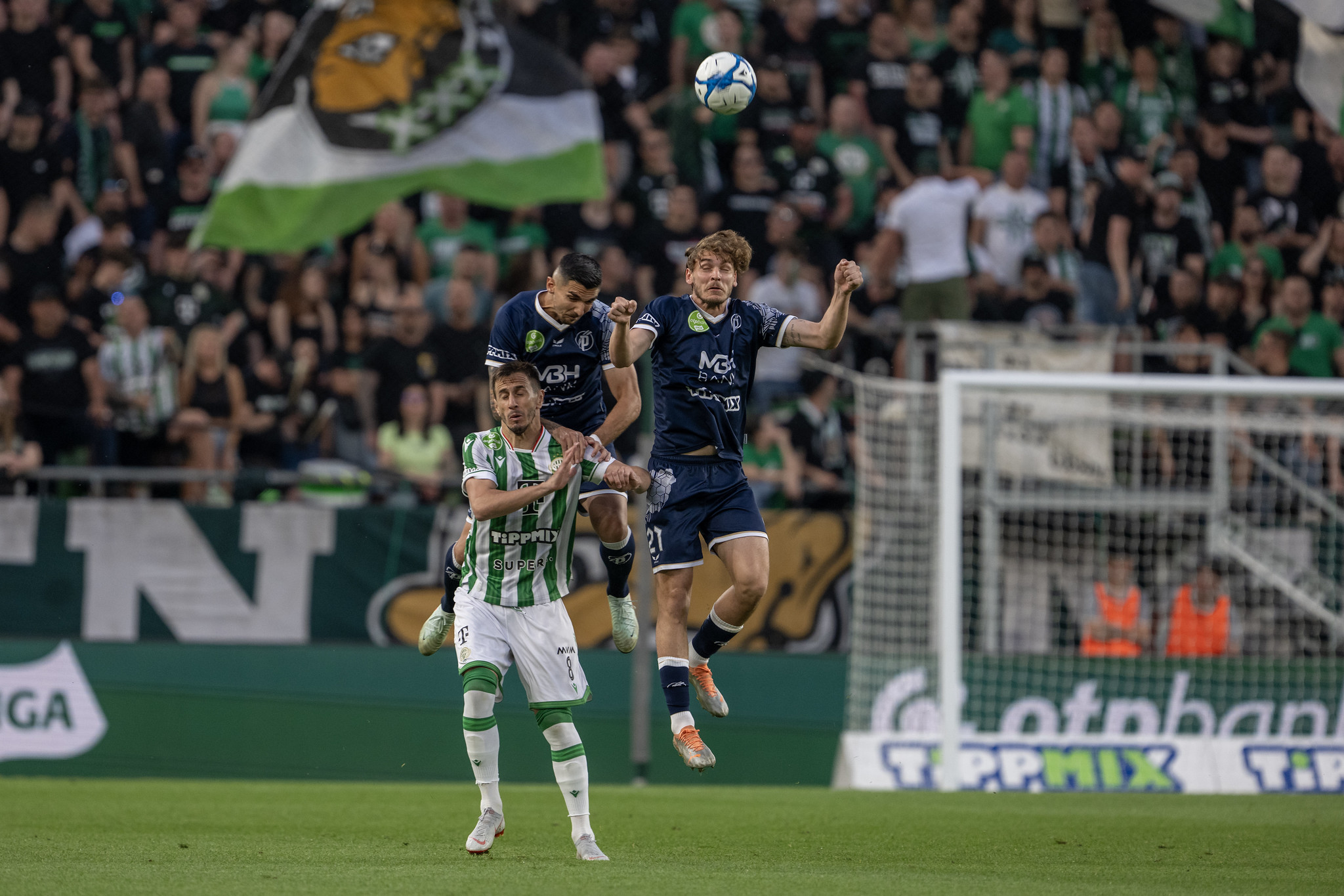 Fradi: Már Szerbiában is arról írnak, hogy Pesic a DAC-ba tart - sajtóhír