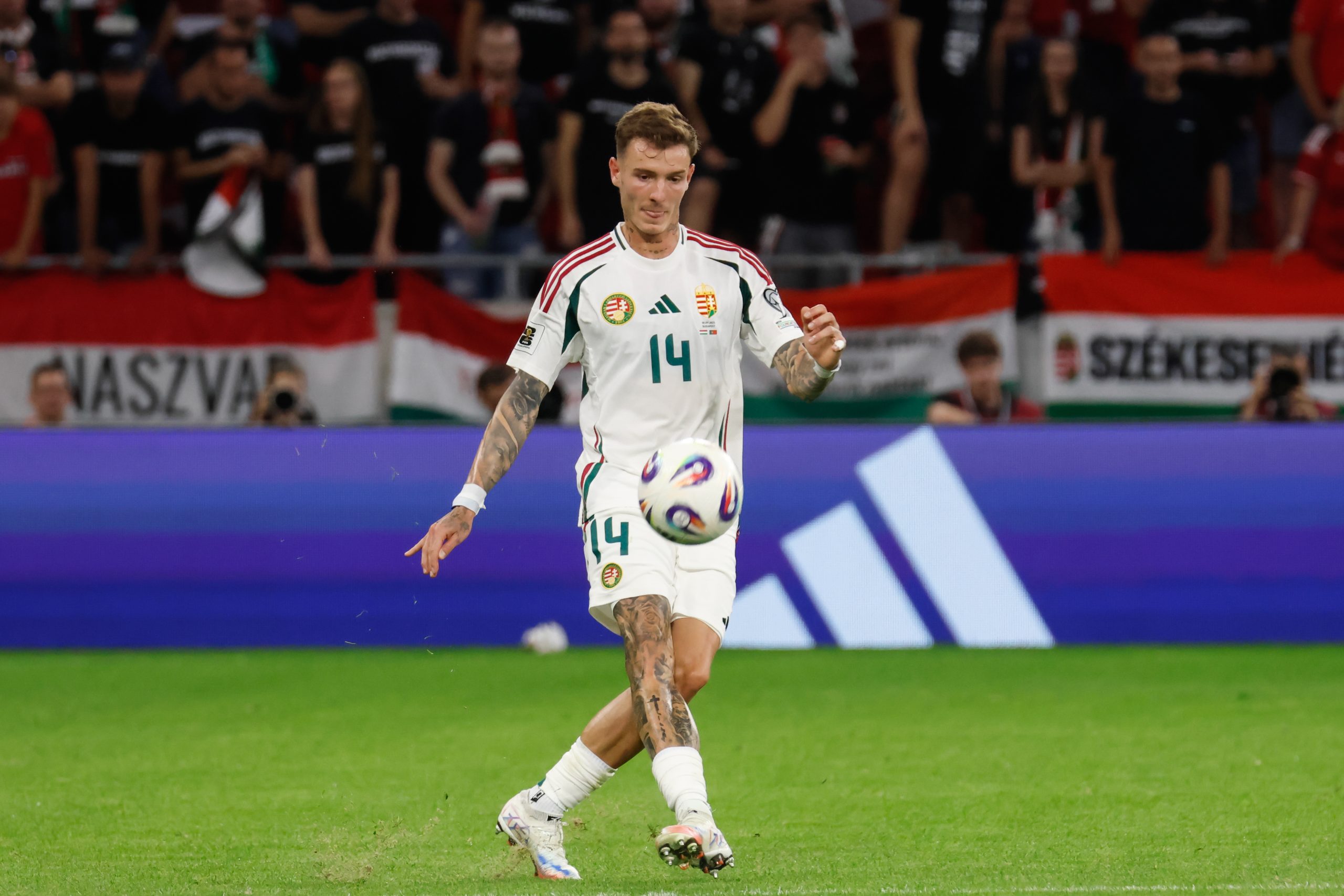 Bolla különleges motivációja a válogatottban: "Fontos, hogy emlékezzünk arra a rossz érzésre"