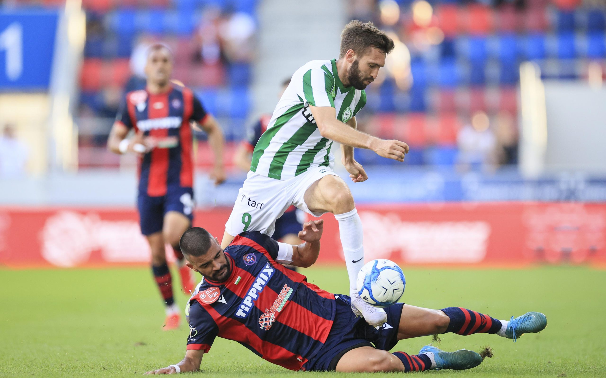 رابطه جنسی سگ و زن